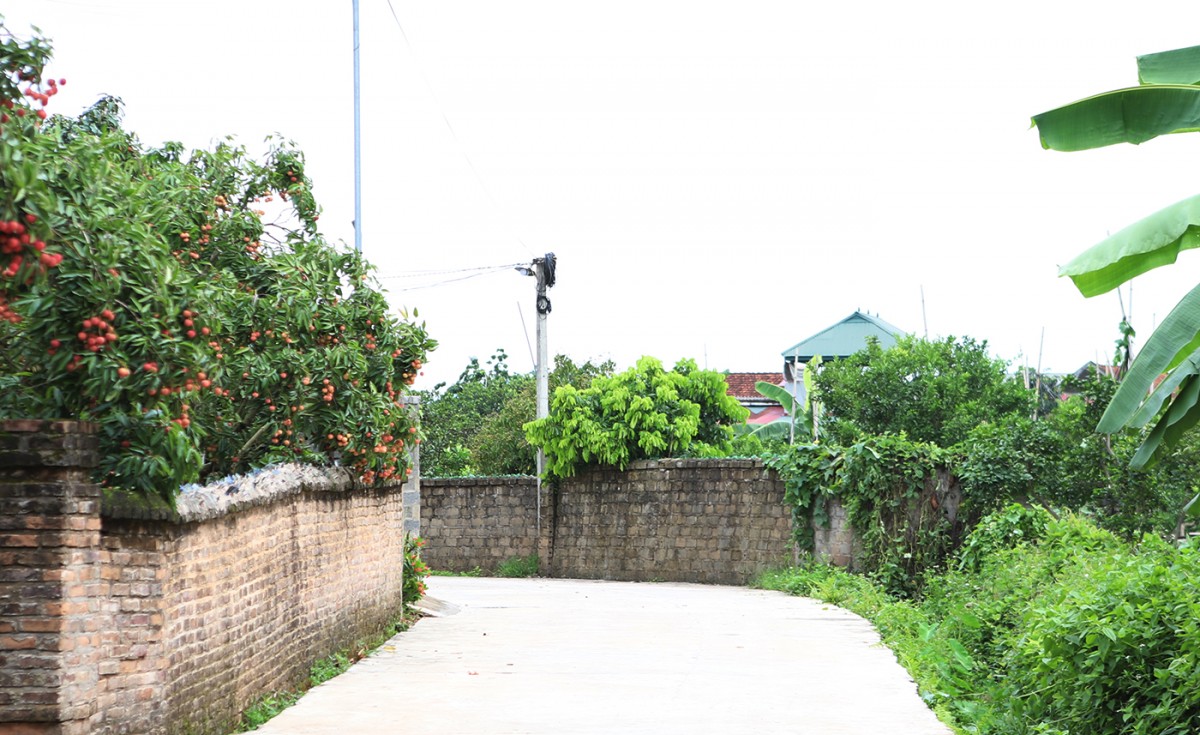 Bắc Ninh công bố kết quả sơ bộ Tổng điều tra nông thôn, nông nghiệp năm 2025