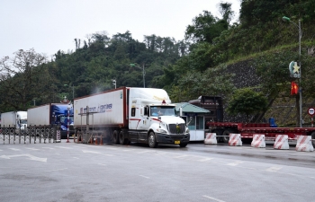 Ùn tắc hơn 700 lô hàng nhập khẩu đã cơ bản được giải quyết