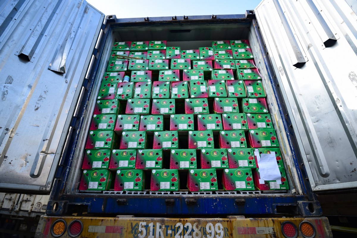 Ùn tắc hơn 700 lô hàng nhập khẩu đã cơ bản được giải quyết