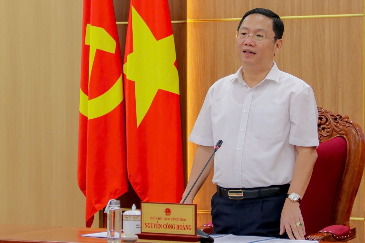 Phó Chủ tịch UBND tỉnh Nguyễn Công Hoàng phát biểu kết luận cuộc họp