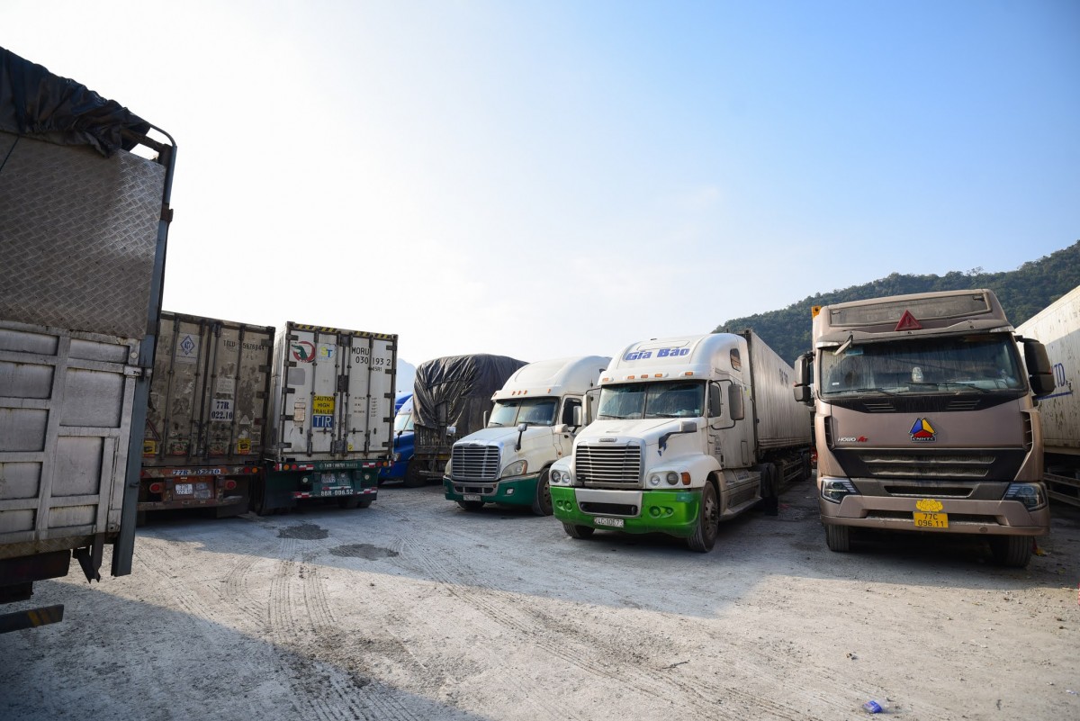 Tăng phối hợp liên ngành nhằm kịp thời gỡ khó xuất nhập khẩu nông sản