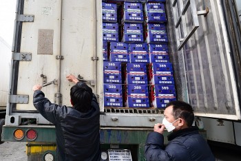 Tăng phối hợp liên ngành nhằm kịp thời gỡ khó xuất nhập khẩu nông sản