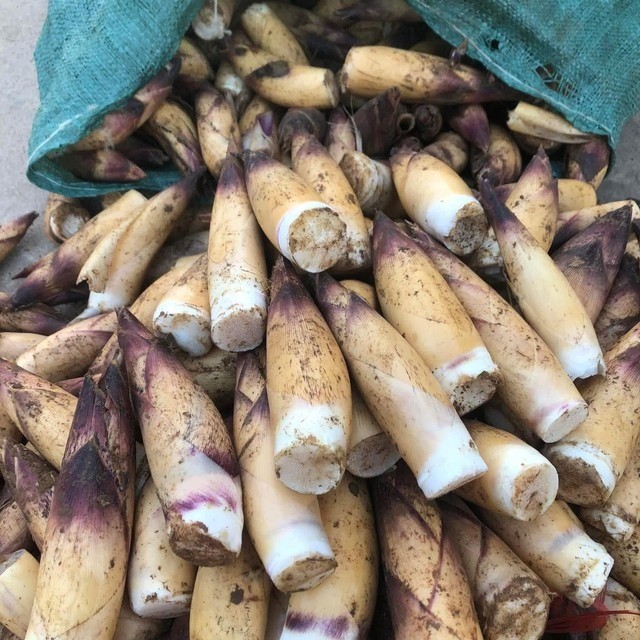 Măng vầu vào mùa, giá cao nhưng vẫn ‘đắt khách’