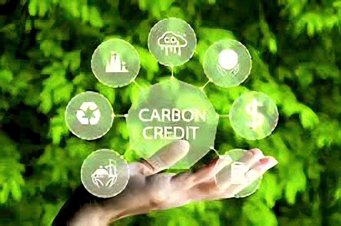 Nền tảng vận hành thị trường các-bon minh bạch, hiệu quả