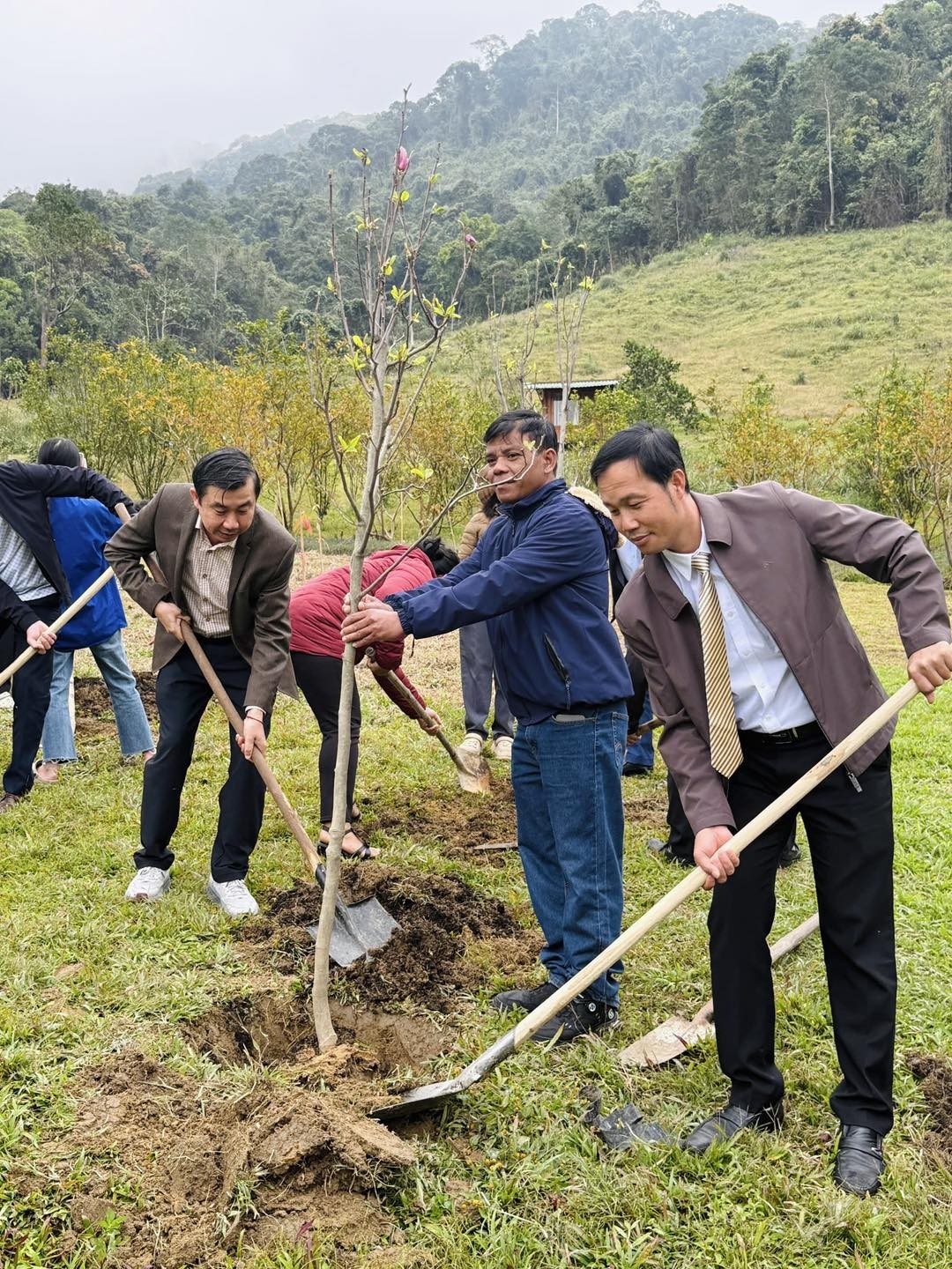 Huế: Trồng cây mừng Đảng, mừng Xuân gắn kết tình hữu nghị Việt - Nhật