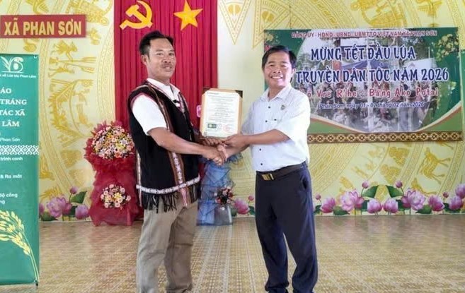 Đánh thức “hạt vàng” bản địa, khẳng định tiềm năng lúa hữu cơ vùng cao