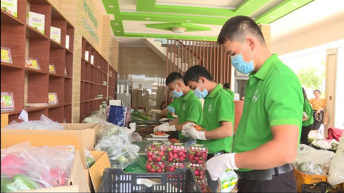 Lâm Đồng nâng cao vị thế nông sản qua việc kiểm soát chất lượng và an toàn thực phẩm