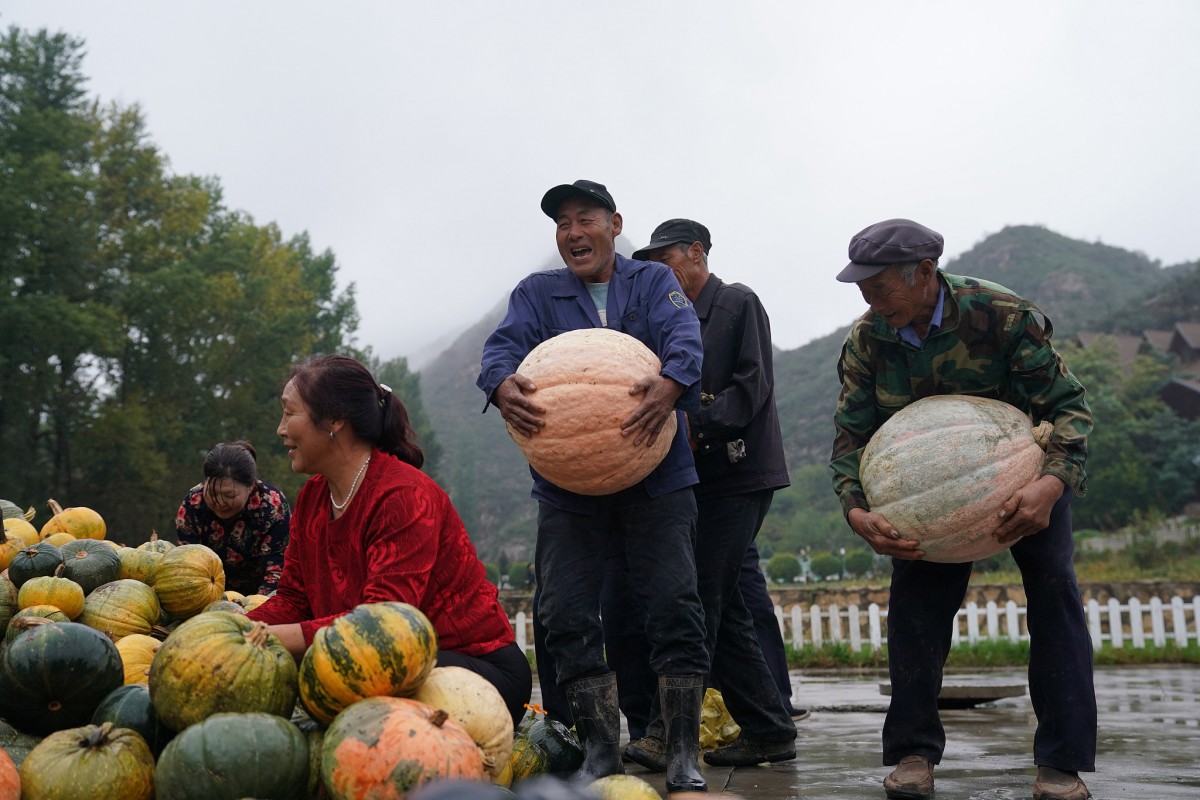 Mô hình nông nghiệp hữu cơ và tái thiết nông thôn bền vững ở Linh Khâu (Trung Quốc) và gợi mở cho Việt Nam