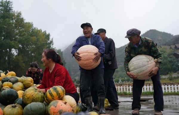 Mô hình nông nghiệp hữu cơ và tái thiết nông thôn bền vững ở Linh Khâu (Trung Quốc) và gợi mở cho Việt Nam