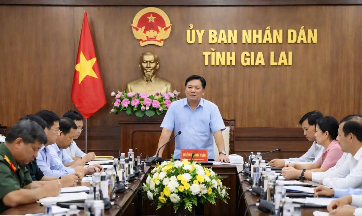 Gia Lai tập trung tháo gỡ vướng mắc các dự án trên đất cao su