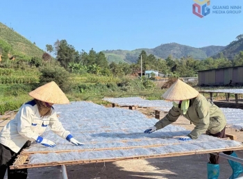 Sản phẩm OCOP Quảng Ninh sôi động mùa Tết Nguyên đán 2026