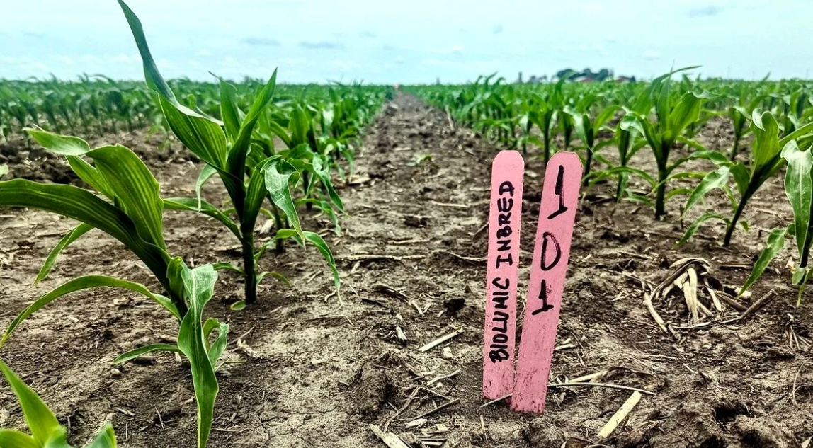 BioLumic mở rộng nền tảng tình trạng hạt kích hoạt bằng ánh sáng