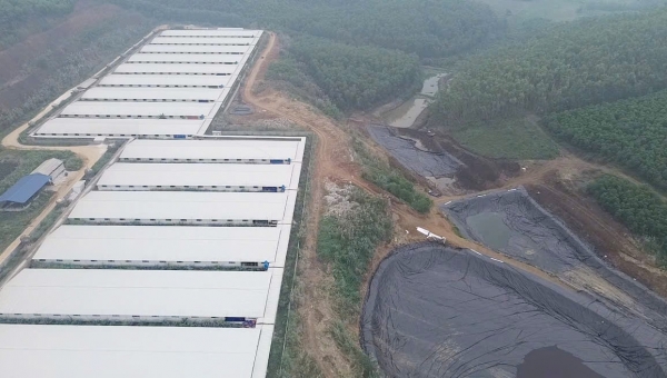 Nghệ An: Vì sao Công ty Cổ phần Greenfoods Tân Kỳ bị xử phạt 180 triệu đồng?