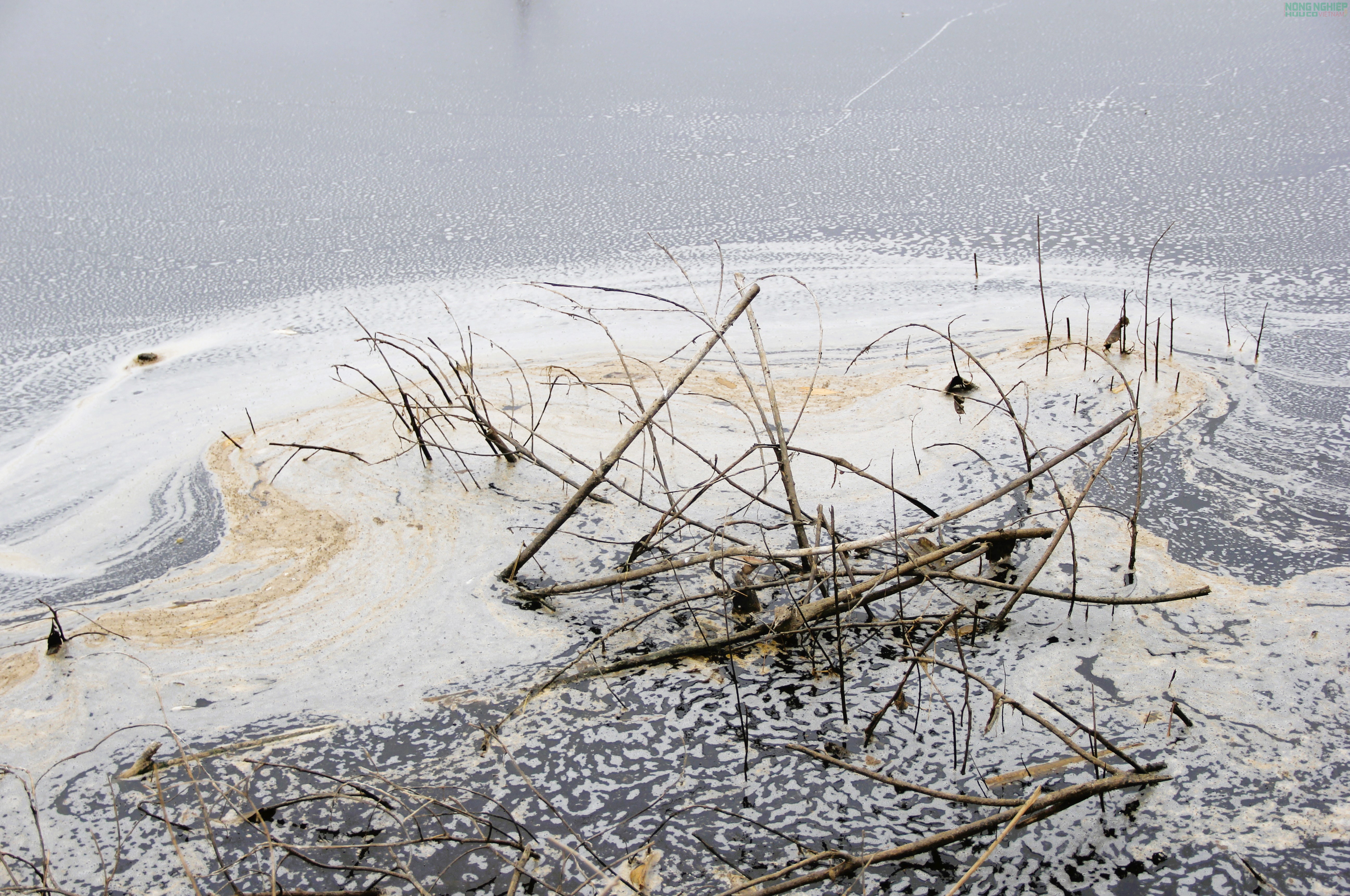 Nghệ An: Vì sao Công ty Cổ phần Greenfoods Tân Kỳ bị xử phạt 180 triệu đồng?