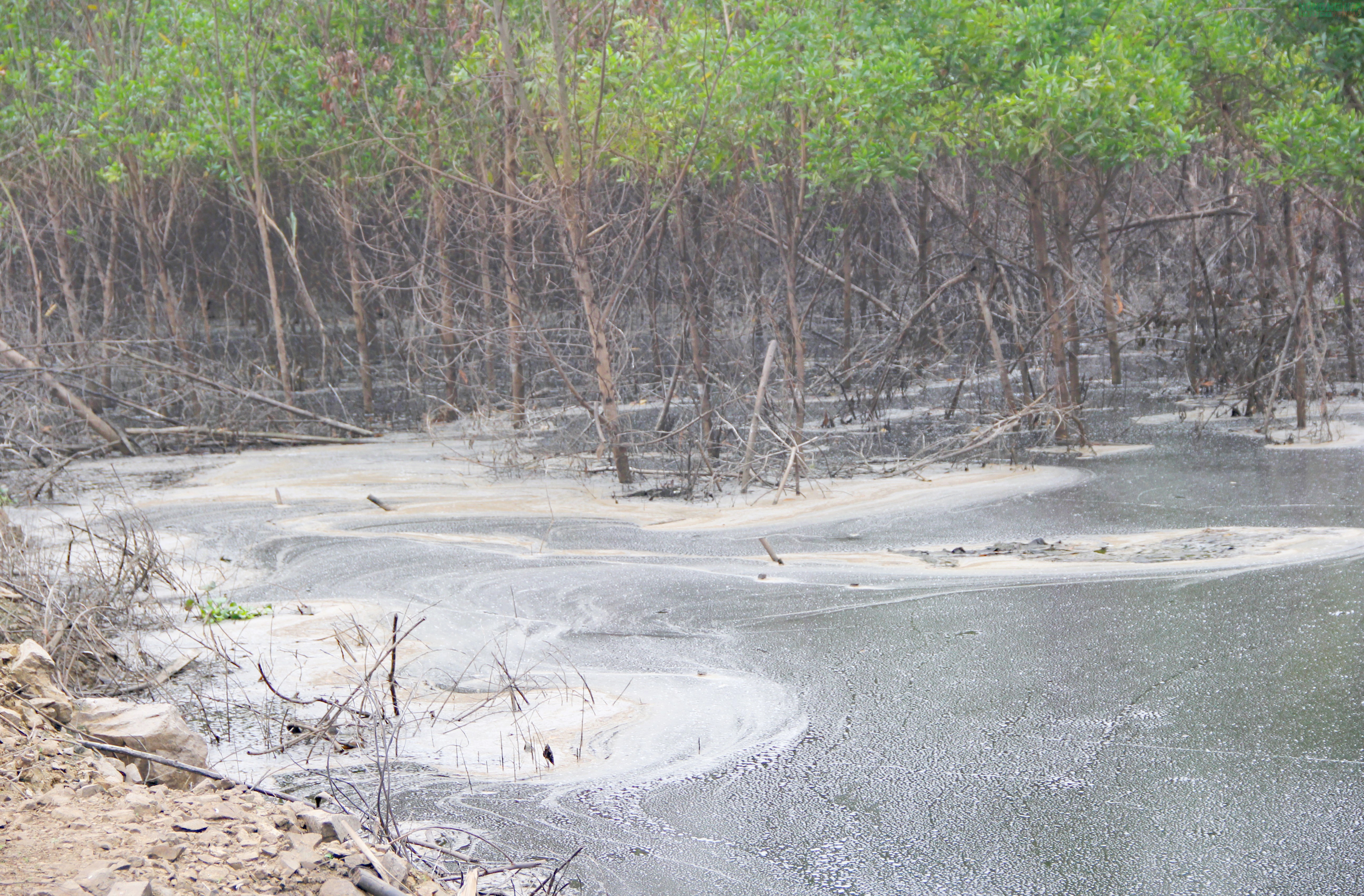 Nghệ An: Vì sao Công ty Cổ phần Greenfoods Tân Kỳ bị xử phạt 180 triệu đồng?