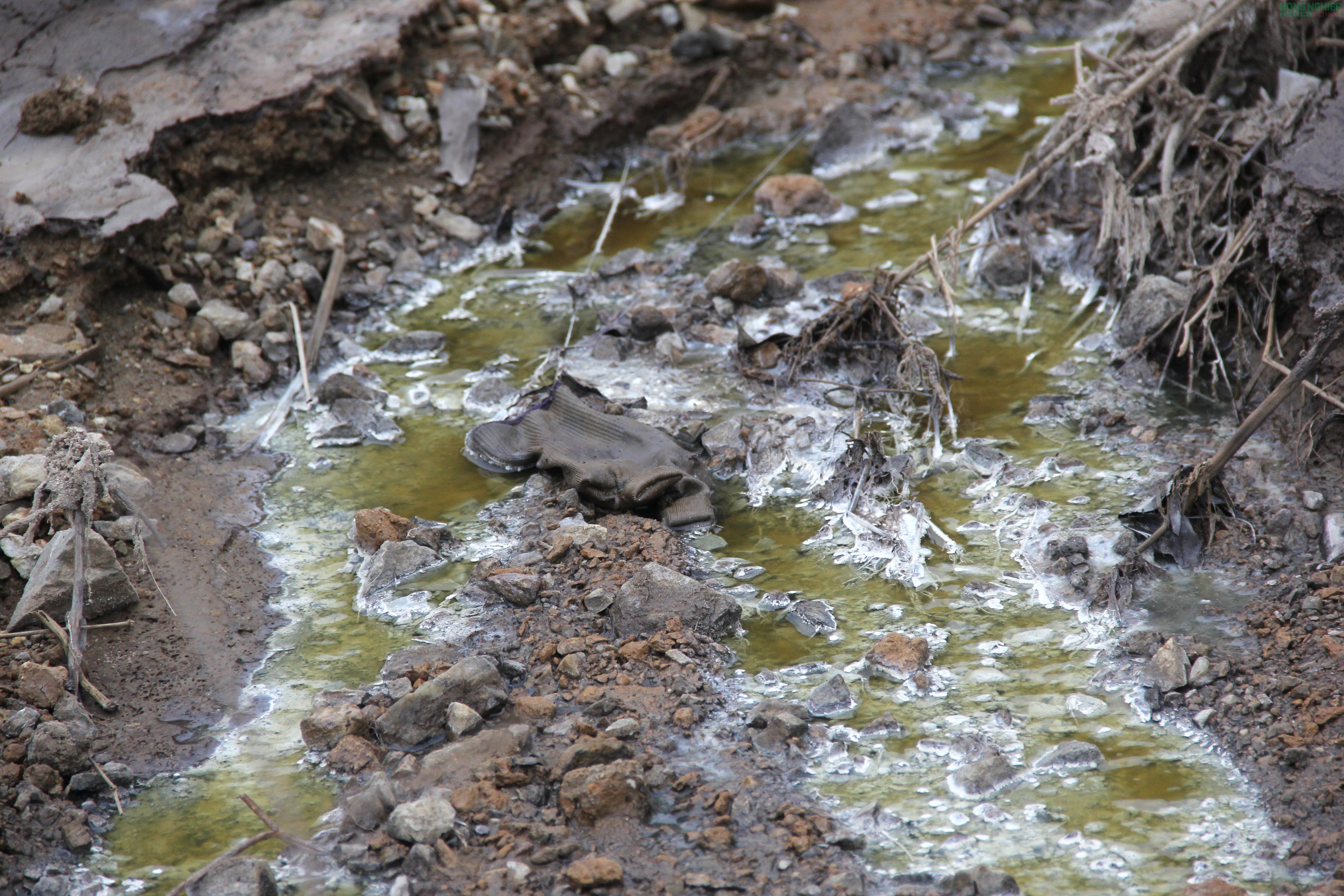 Nghệ An: Vì sao Công ty Cổ phần Greenfoods Tân Kỳ bị xử phạt 180 triệu đồng?