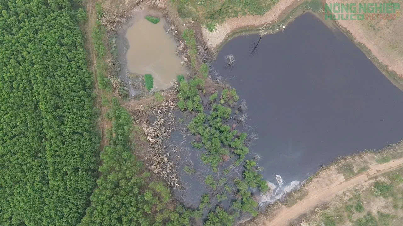 Nghệ An: Vì sao Công ty Cổ phần Greenfoods Tân Kỳ bị xử phạt 180 triệu đồng?