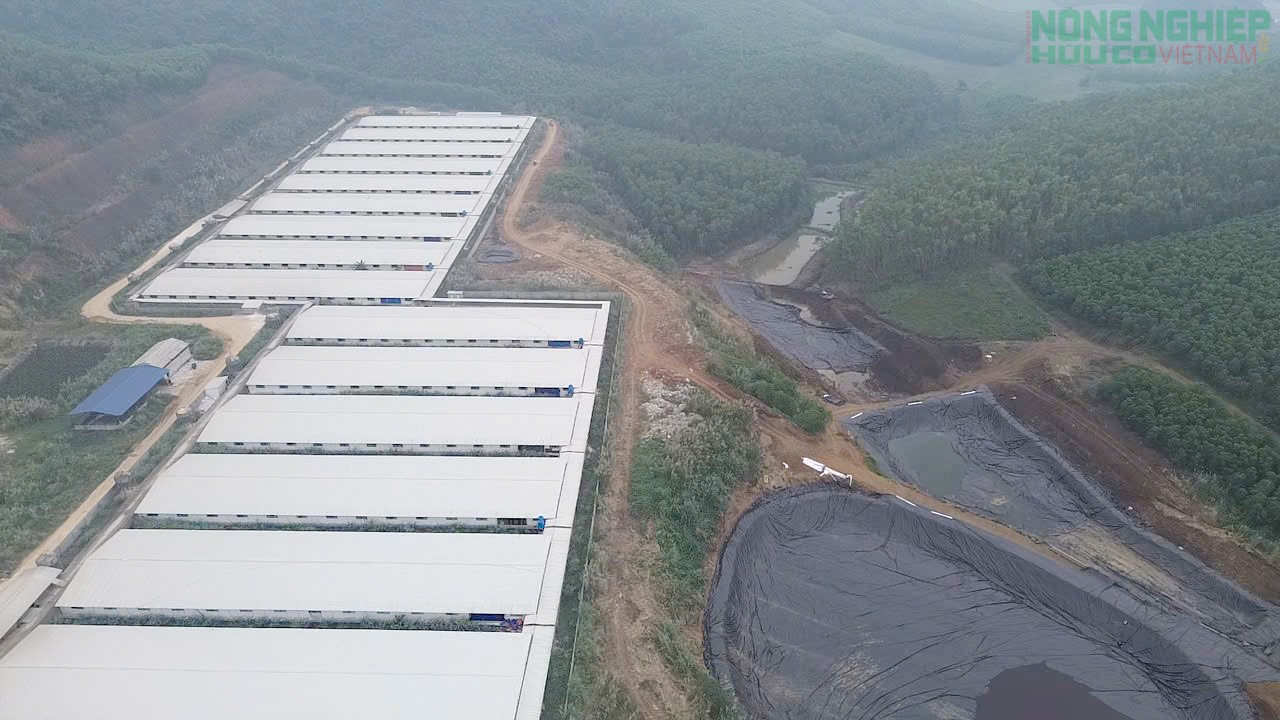 Nghệ An: Vì sao Công ty Cổ phần Greenfoods Tân Kỳ bị xử phạt 180 triệu đồng?