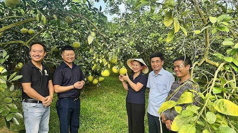 Hà Tĩnh ban hành Quy chế phối hợp công tác khuyến nông