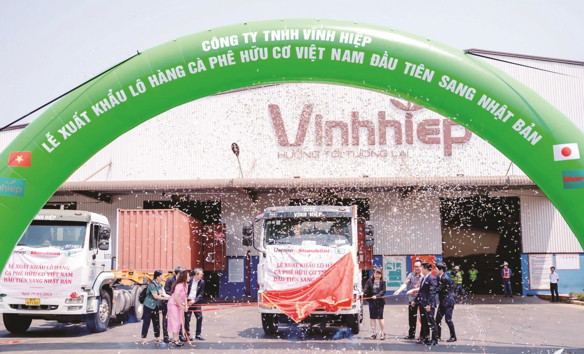 Xu hướng toàn cầu và 