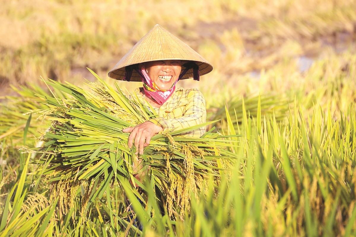 Tín dụng xanh thúc đẩy phát triển nông nghiệp hữu cơ