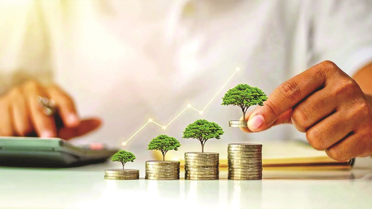 Tín dụng xanh thúc đẩy phát triển nông nghiệp hữu cơ