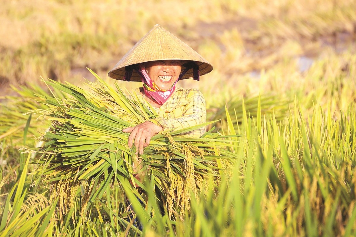 Tín dụng xanh thúc đẩy phát triển nông nghiệp hữu cơ