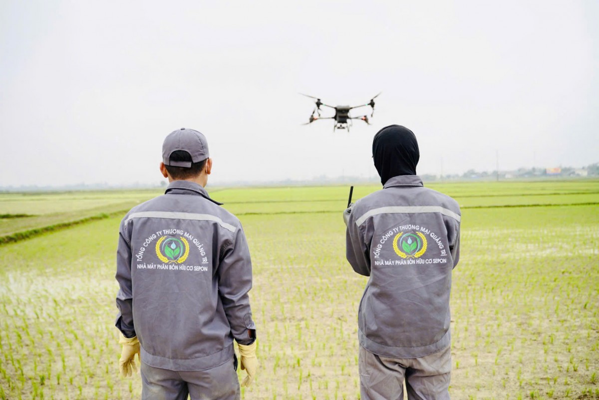 Gạo hữu cơ Sepon: Hành trình từ cánh đồng Quảng Trị vươn ra thế giới