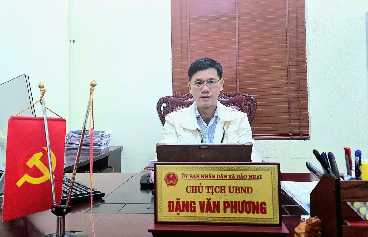 “Vàng xanh” hữu cơ giữa đại ngàn