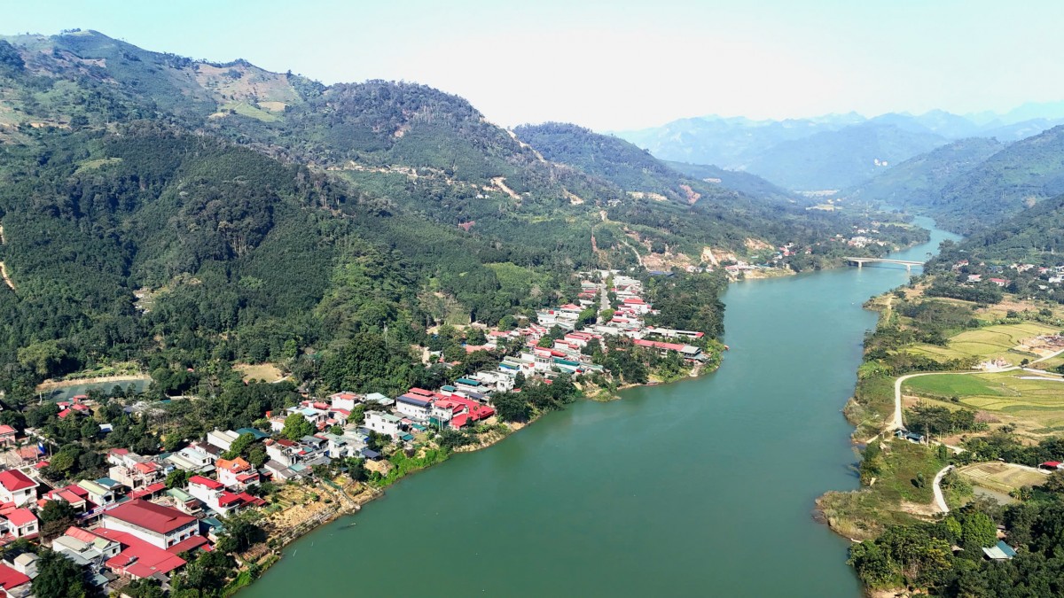 “Vàng xanh” hữu cơ giữa đại ngàn