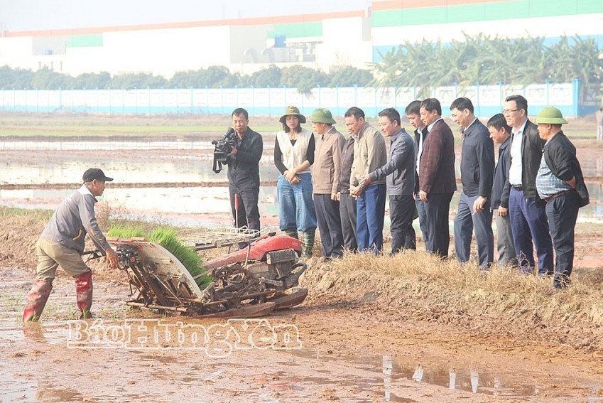 Hưng Yên: Tập trung cao độ, phấn đấu hoàn thành gieo cấy vụ Xuân đúng thời vụ