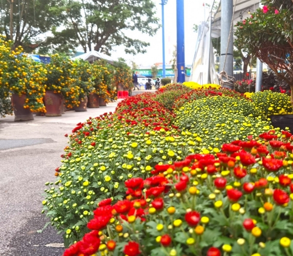 Phường Uông Bí (Quảng Ninh): Rực rỡ chợ hoa Xuân Bính Ngọ 2026