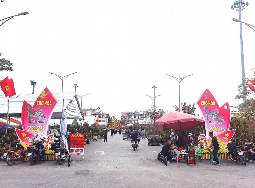 Phường Uông Bí (Quảng Ninh): Rực rỡ chợ hoa xuân Bính Ngọ 2026