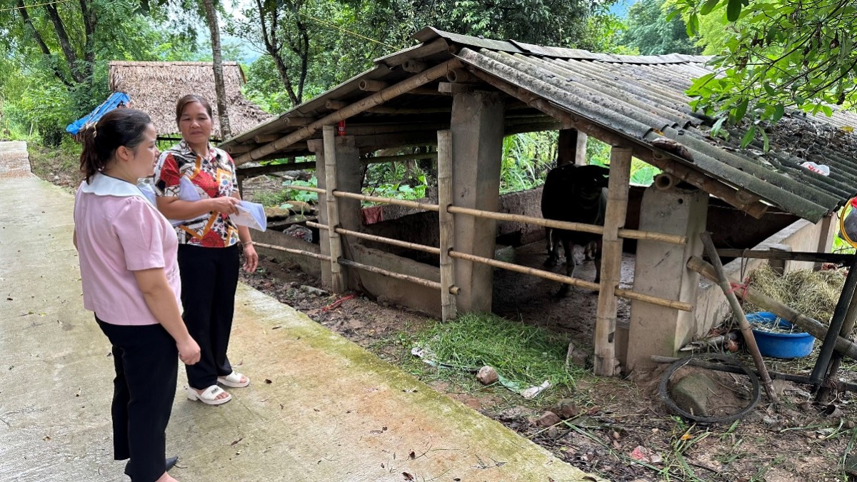 Phú Thọ: Ngân hàng Chính sách “giữ mạch tín dụng thông suốt” tạo nền tảng phát triển an sinh bền vững