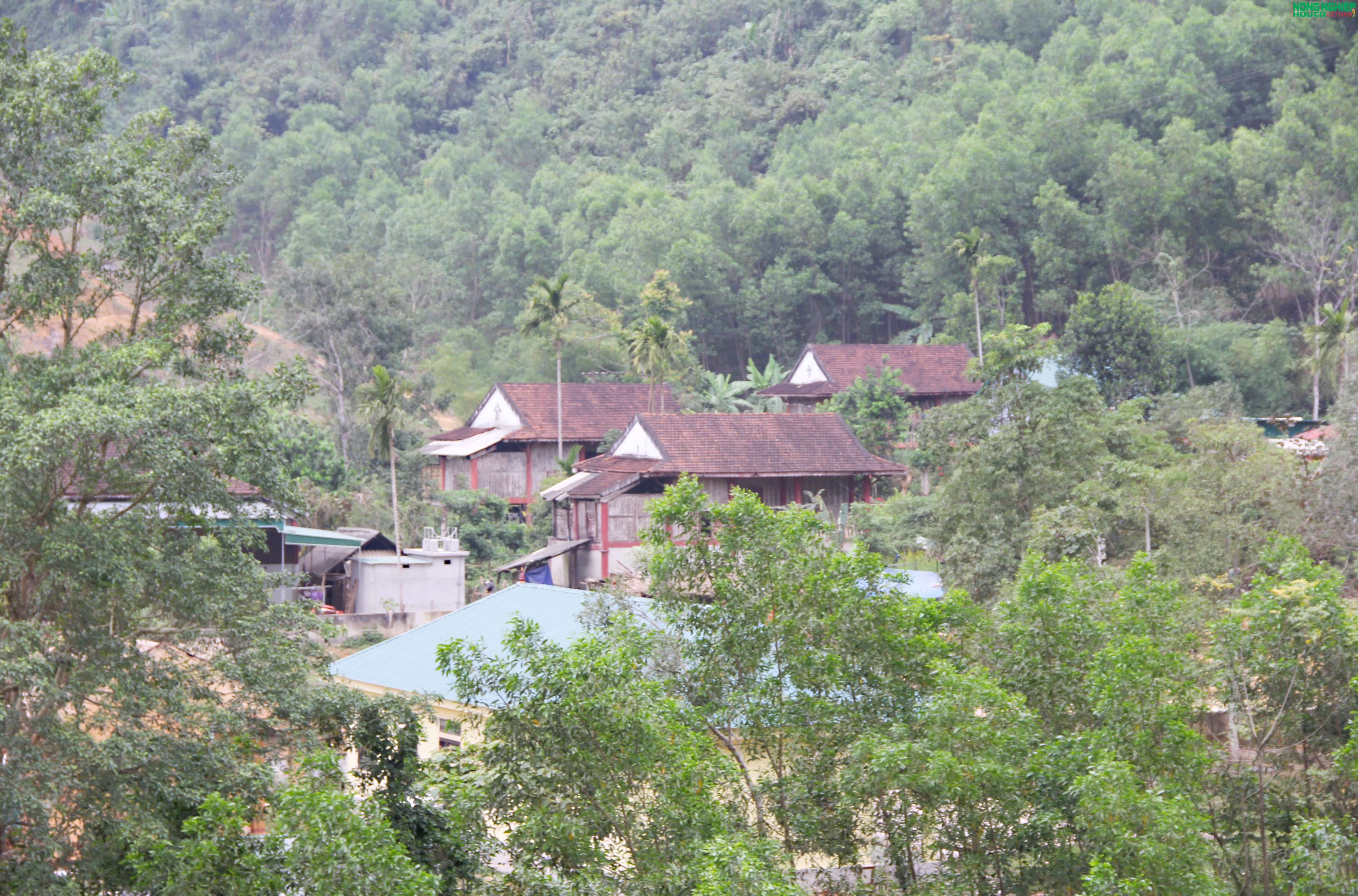 Để Xuân mới thực sự là mùa Xuân của yêu thương, nghĩa tình trên quê hương Mậu Thạch