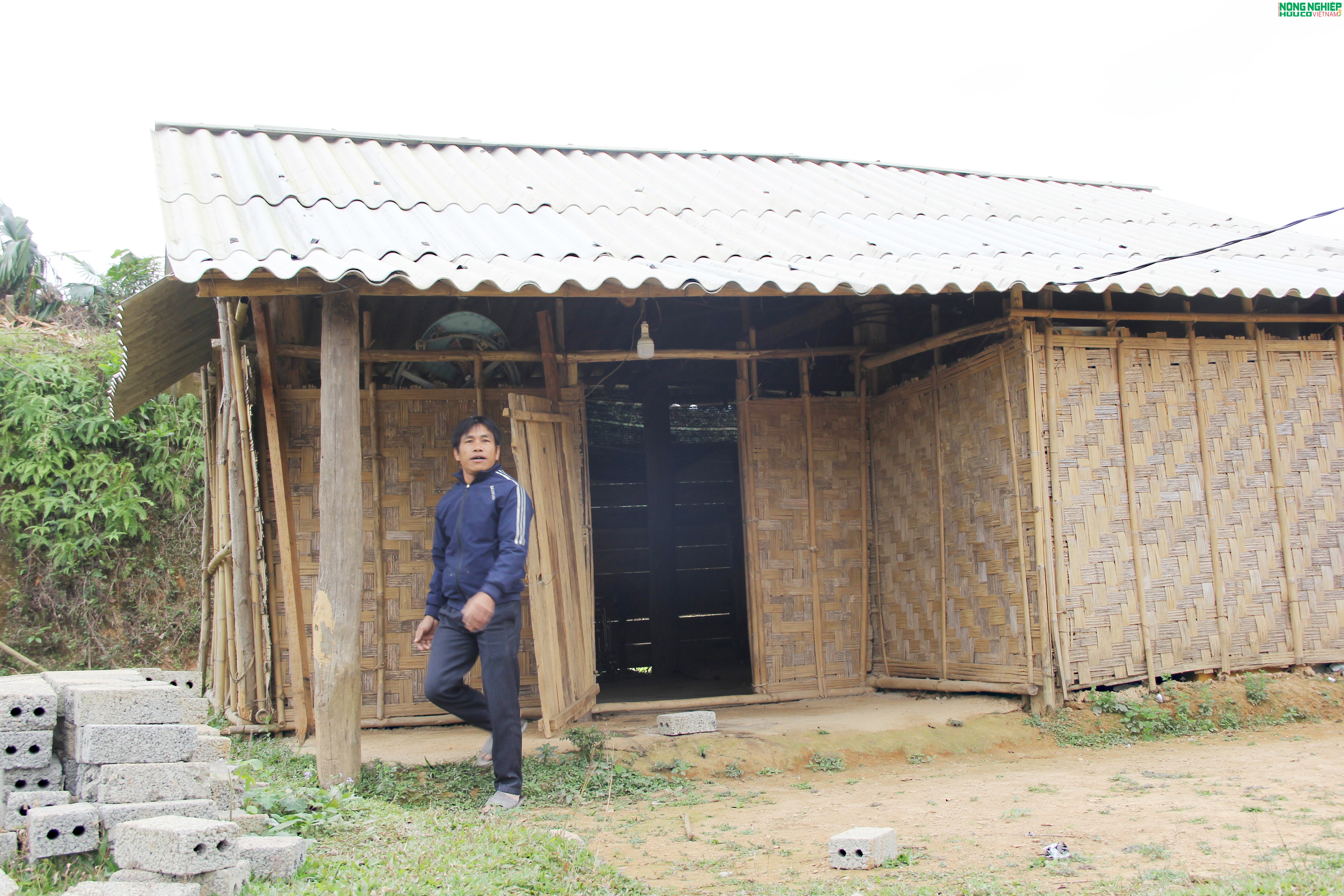 "Để Xuân mới thực sự là mùa Xuân của yêu thương, nghĩa tình trên quê hương Mậu Thạch"