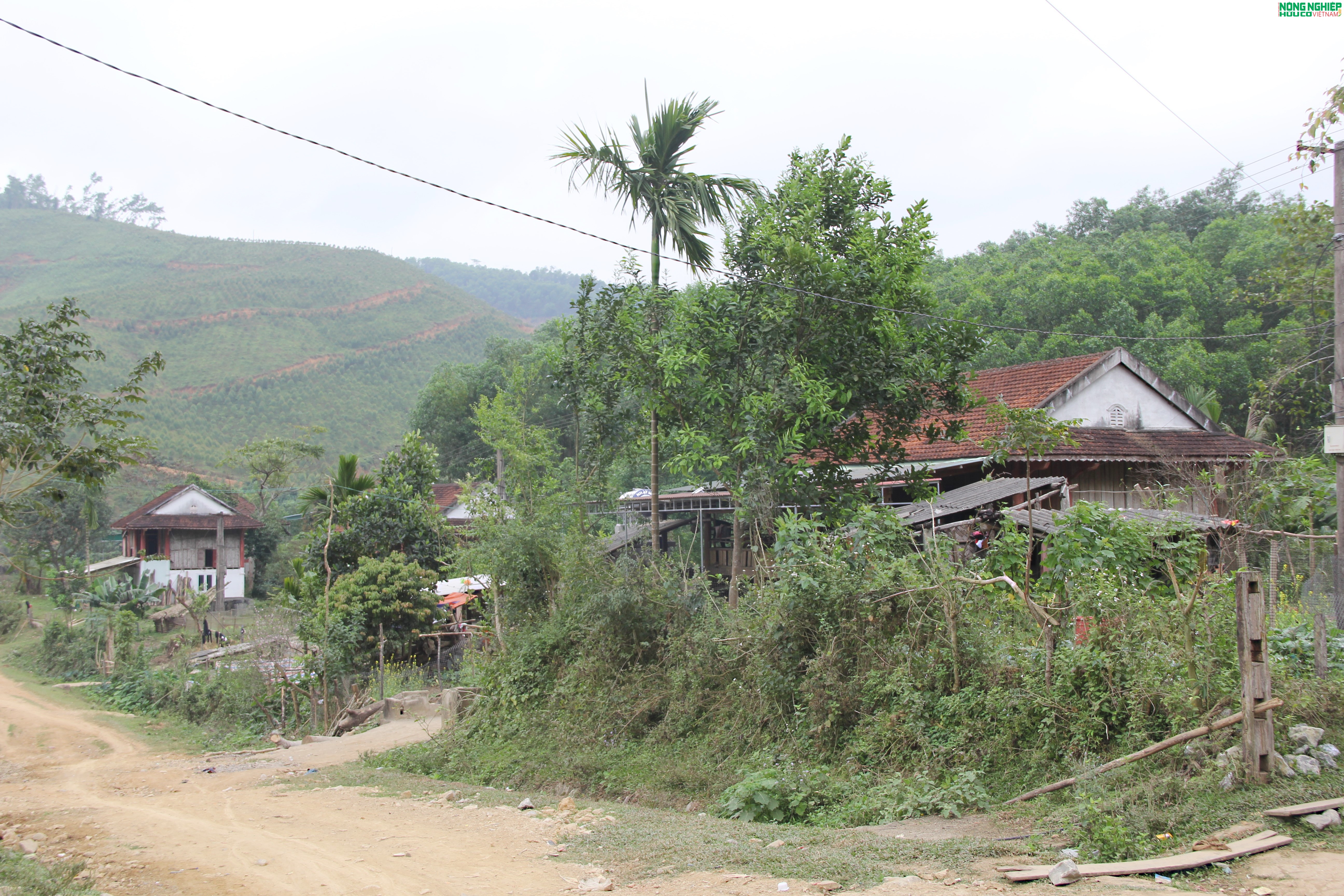 "Để Xuân mới thực sự là mùa Xuân của yêu thương, nghĩa tình trên quê hương Mậu Thạch"