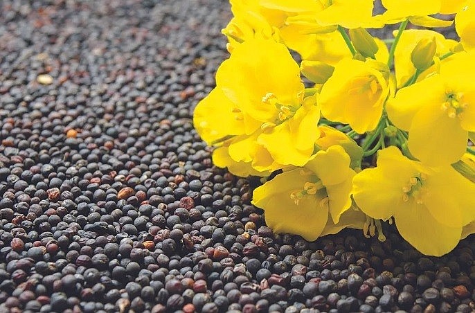 Canada và Trung Quốc đứng trước thử thách trong bối cảnh đàm phán thương mại Bắc Mỹ