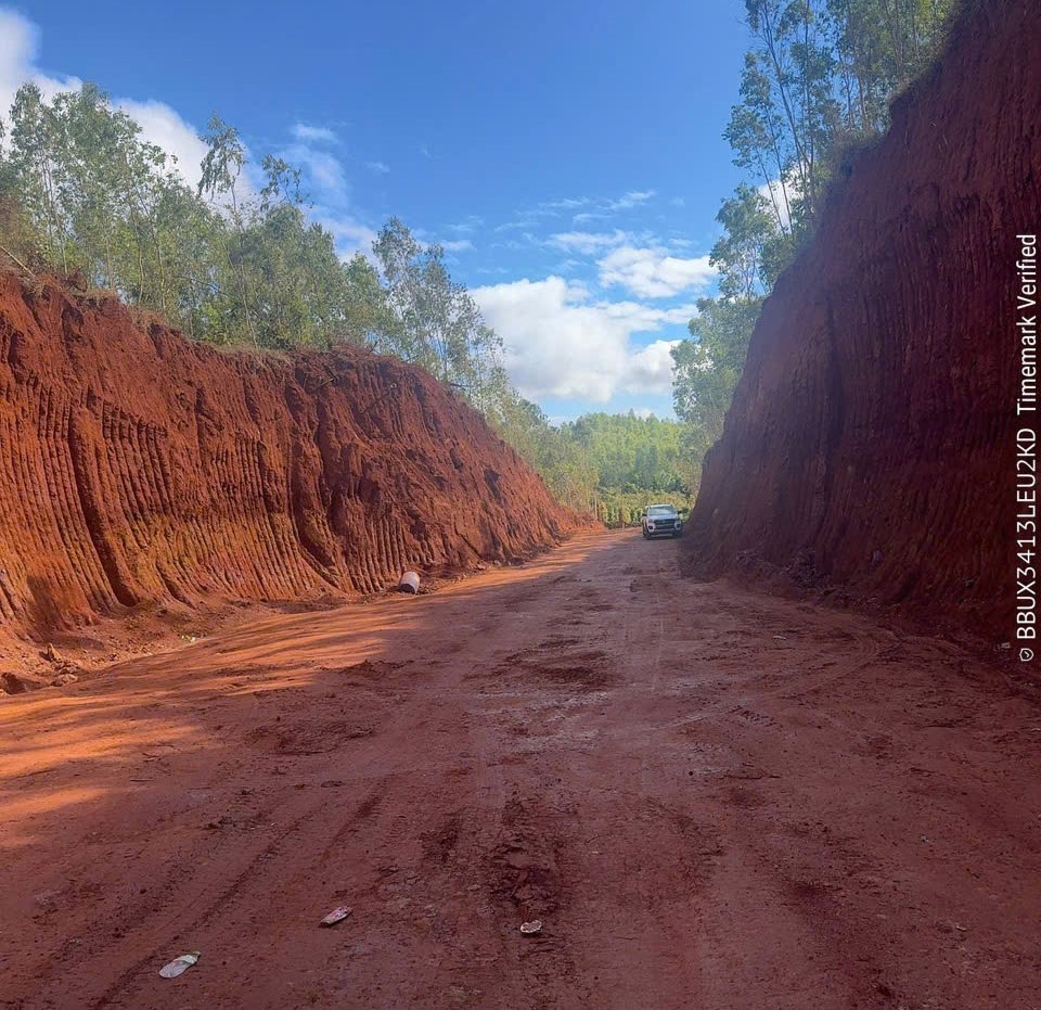 Lâm Đồng: Tái vi phạm trong lĩnh vực đất đai, một cá nhân ở xã Đắk Sắk bị xử phạt và buộc khôi phục nguyên trạng
