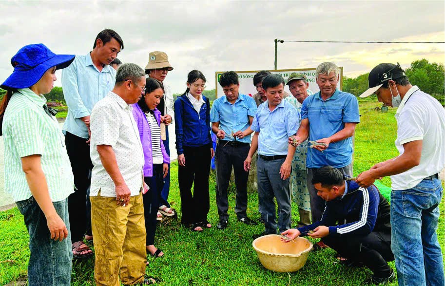 Quảng Trị là một tỉnh có nhiều lợi thế về điều kiện tự nhiên, đất đai để phát triển sản xuất nông nghiệp hữu cơ.