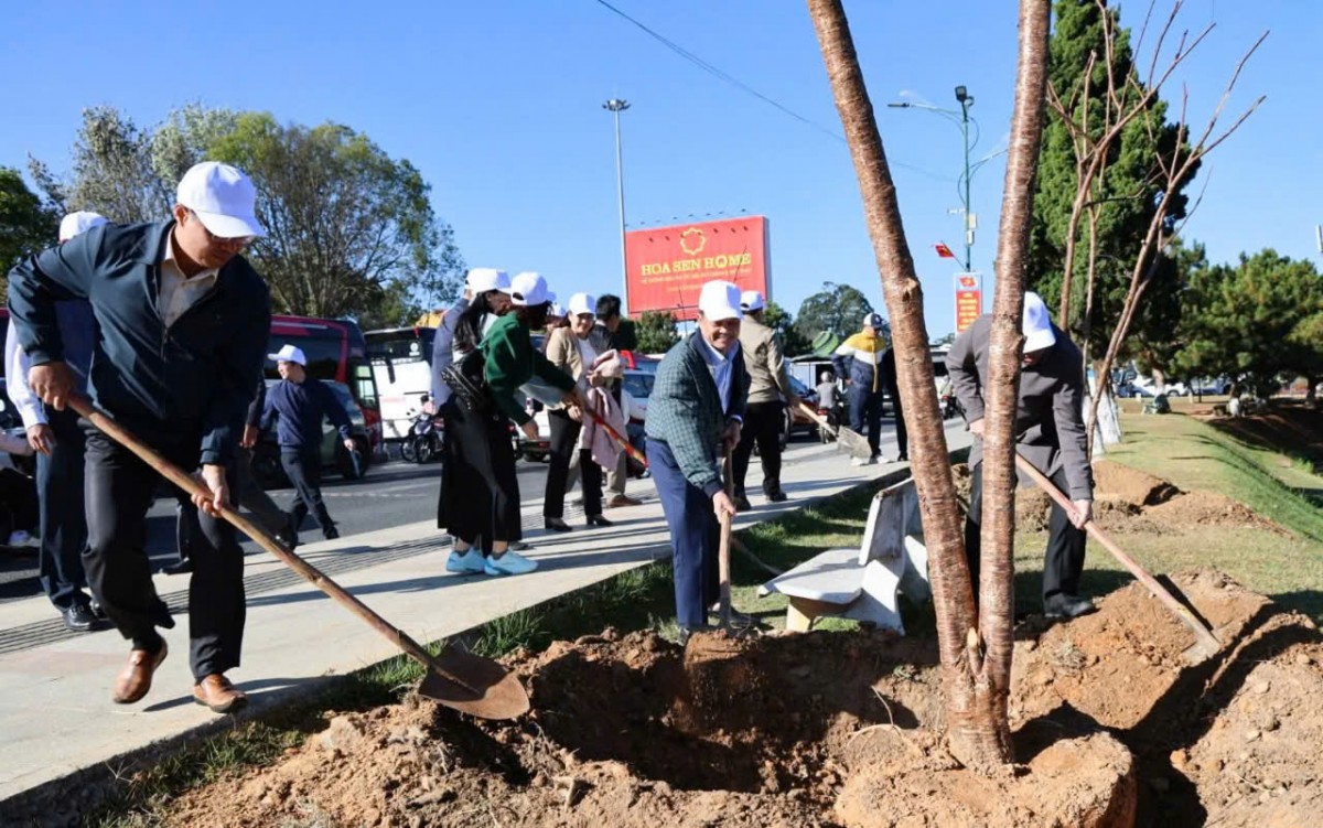 Lâm Đồng: Phát động phong trào trồng cây xanh, trồng hoa và thi đua vì môi trường