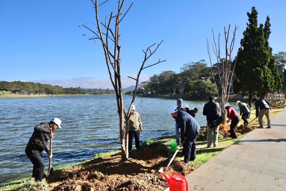 Lâm Đồng: Phát động phong trào trồng cây xanh, trồng hoa và thi đua vì môi trường