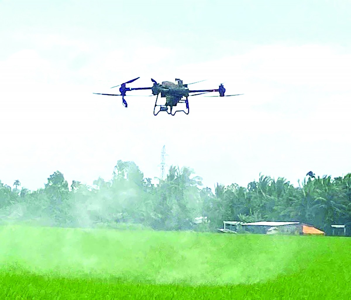 Tiên phong liên kết sản xuất lúa chất lượng cao, phát thải thấp