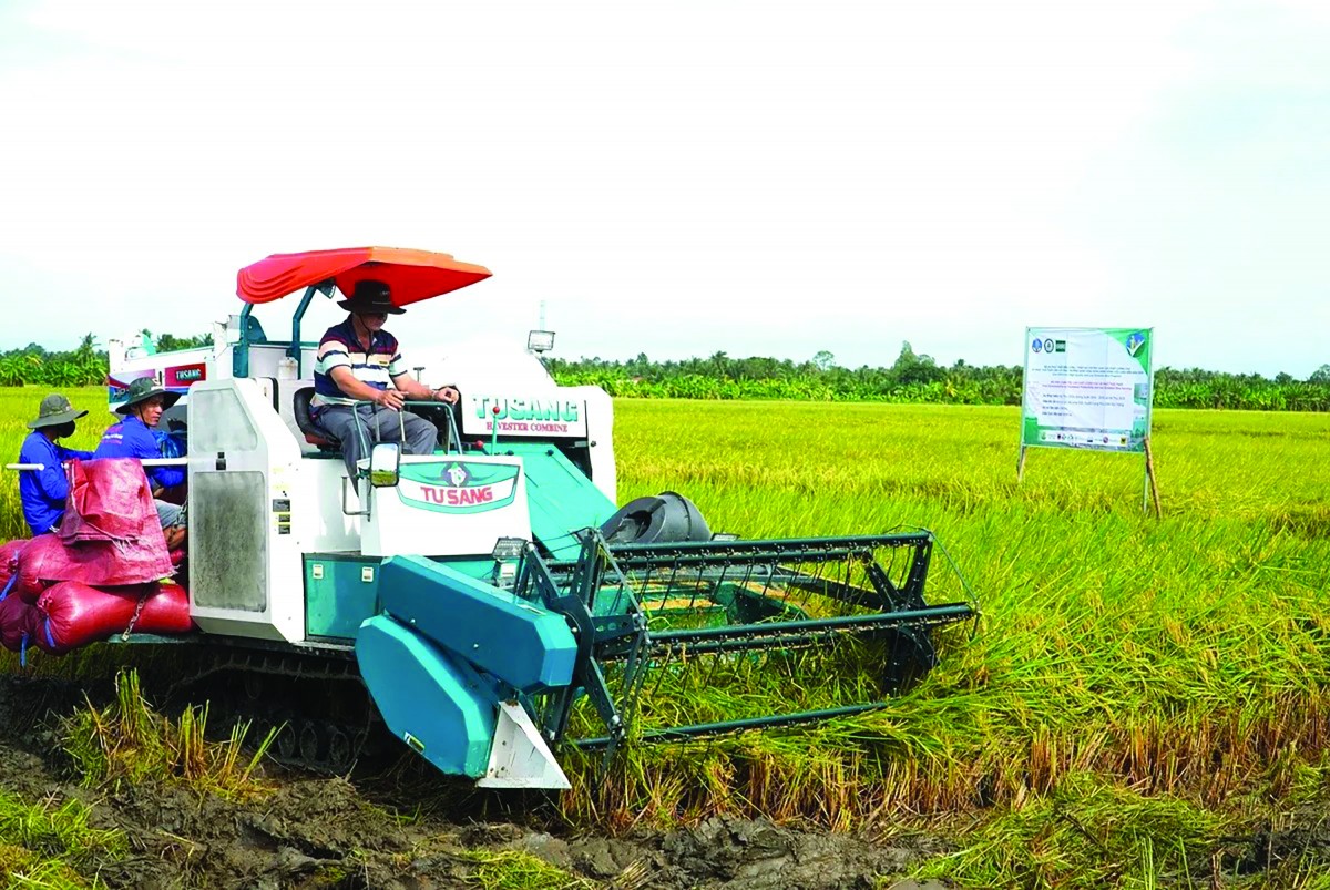 Tiên phong liên kết sản xuất lúa chất lượng cao, phát thải thấp