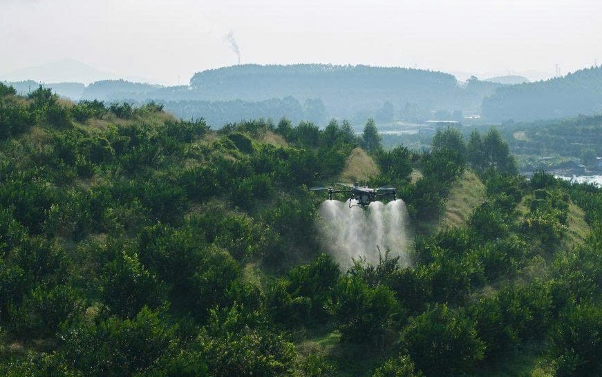 Lâm Đồng và khát vọng trở thành 