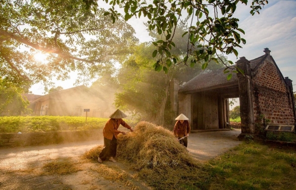 Thơ ca và nông nghiệp, nông thôn, nông dân