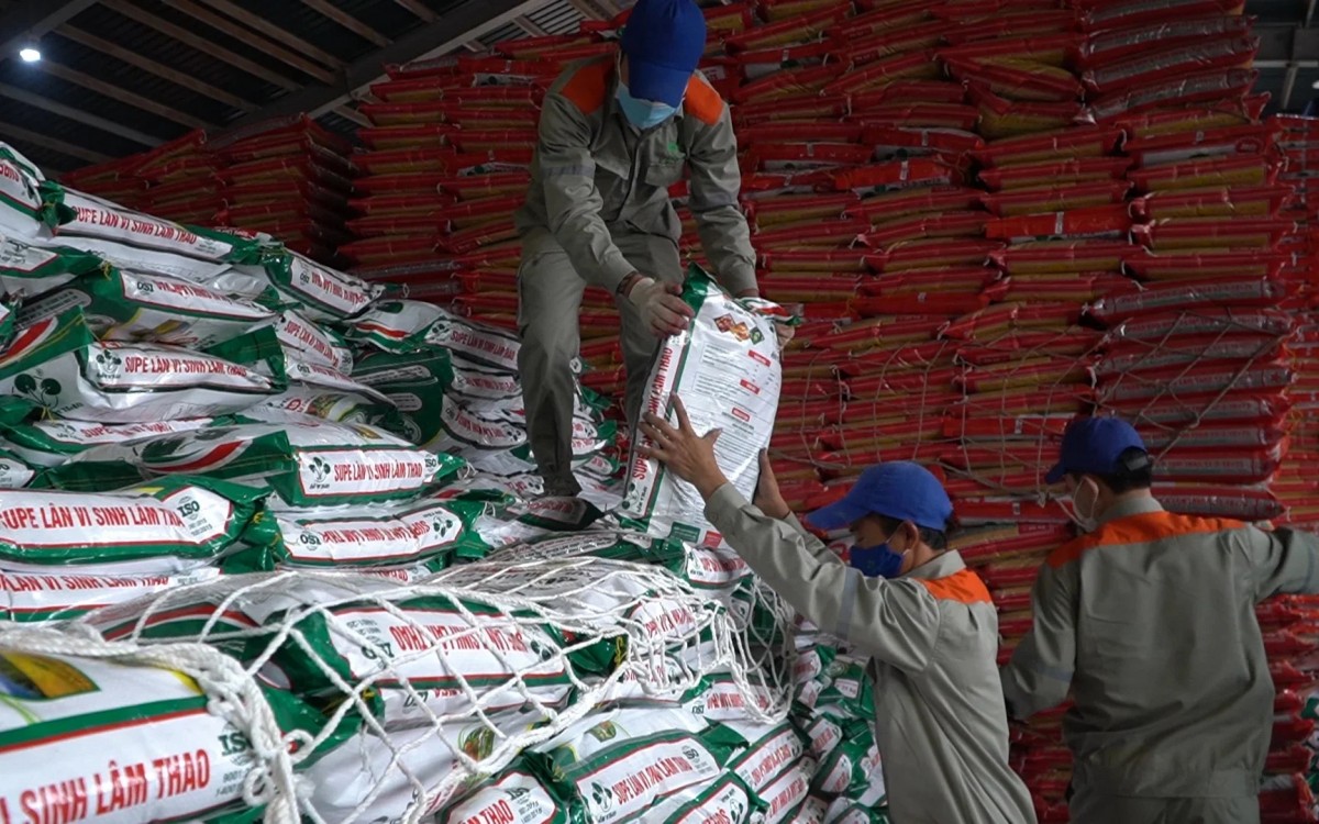 Supe lân vi sinh Lâm Thao được Công ty CP Supe Phốt phát và Hoá chất Lâm Thao đưa ra thị trường năm 2023.