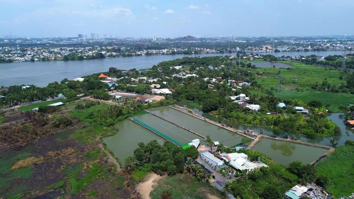 Đồng Nai: Thành lập tổ công tác hỗ trợ giải phóng mặt bằng dự án Khu đô thị Hiệp Hòa