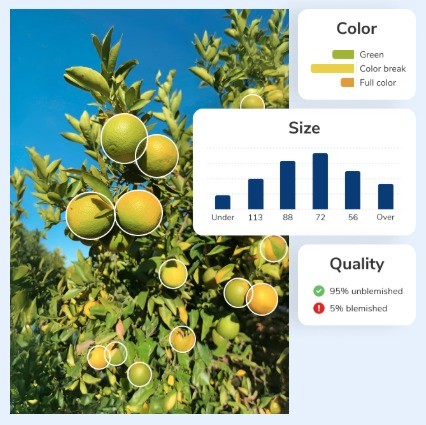 Công nghệ AI trên điện thoại giúp nông dân phân loại táo và nho