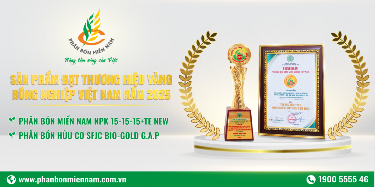 2 sản phẩm NPK 15-15-15+TE NEW và Phân hữu cơ SFJC Bio-Gold G.A.P được vinh danh là “Thương hiệu Vàng Nông nghiệp Việt Nam 2025”.